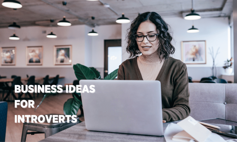Business Opportunities for Introverts