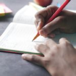 The Role of Education in Sustainable Development