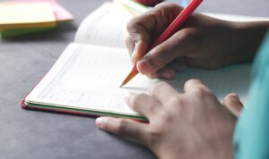 The Role of Education in Sustainable Development