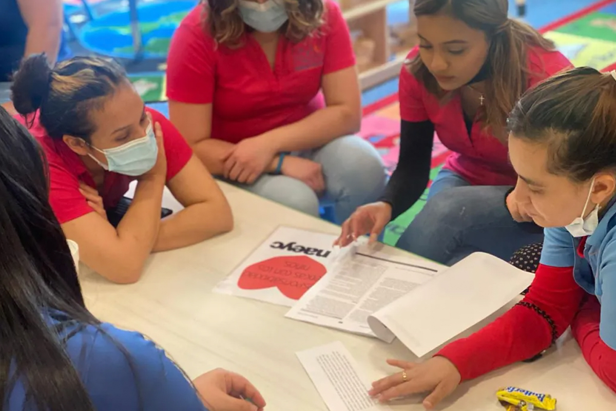 The Importance of Teacher Training and Development
