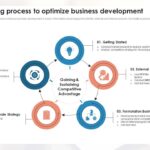 Leveraging Business Intelligence to Optimize Product Sales