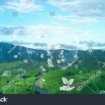 The Role of Technology in Environmental Sustainability