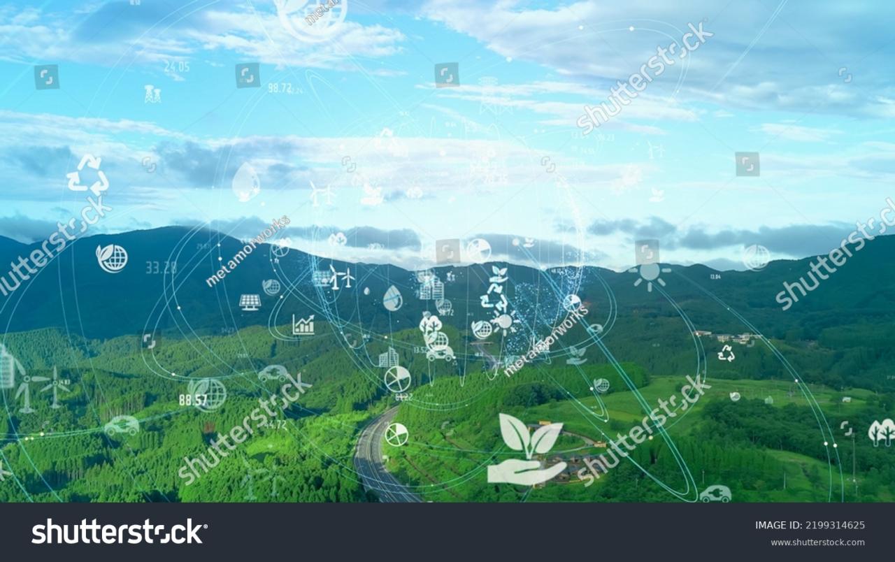The Role of Technology in Environmental Sustainability